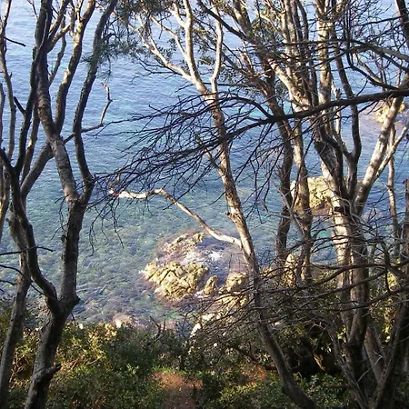 Hébergement de vacances Laurier Rose Cavalaire-sur-Mer